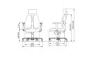 Ортопедическое компьютерное кресло Duorest Leaders DD-7500G
