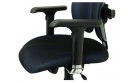 Ортопедическое компьютерное кресло Duorest Leaders DD-7500G