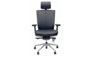 Эргономичное кресло SCHAIRS AEON-F01SX BLACK (кожа) Производитель: Ю. Корея