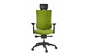 Эргономичное кресло SCHAIRS TON-F01В GREEN Производитель: Ю. Корея