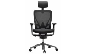 Эргономичное кресло SCHAIRS AEON-M01S BLACK Производитель: Ю. Корея
